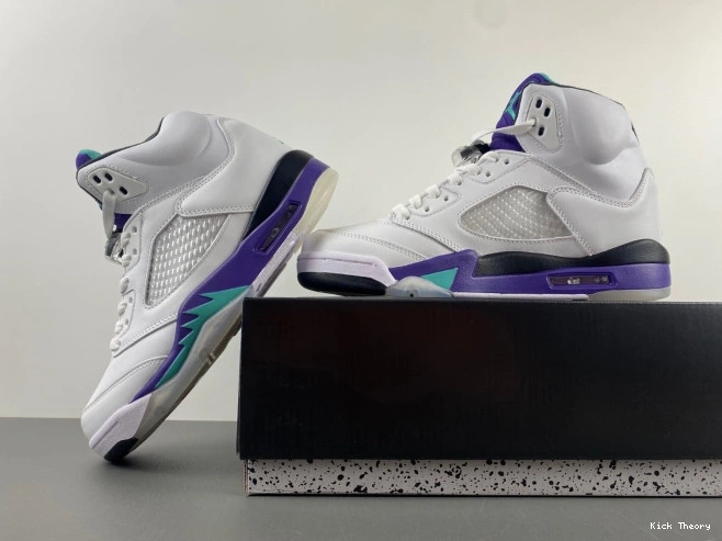 Kicktheory Jordan Air 136027-108 Retro Grape (2013) 5 0704